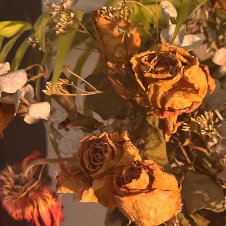 Penedo Casa Do Casal Amigo Holiday home *