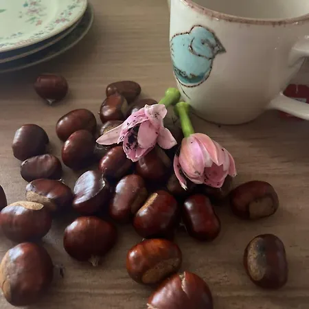 Penedo Casa Do Casal Amigo Holiday home *