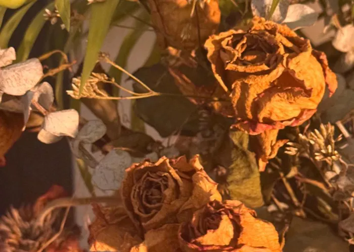 Penedo Casa Do Casal Amigo Holiday home *