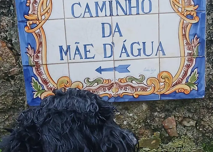 Penedo Casa Do Casal Amigo *