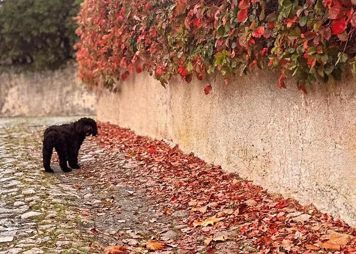 Holiday home Penedo Casa Do Casal Amigo *