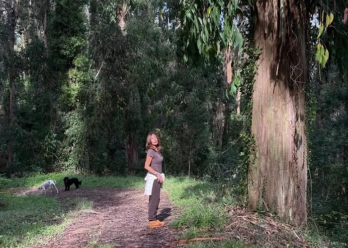 Penedo Casa Do Casal Amigo Holiday home