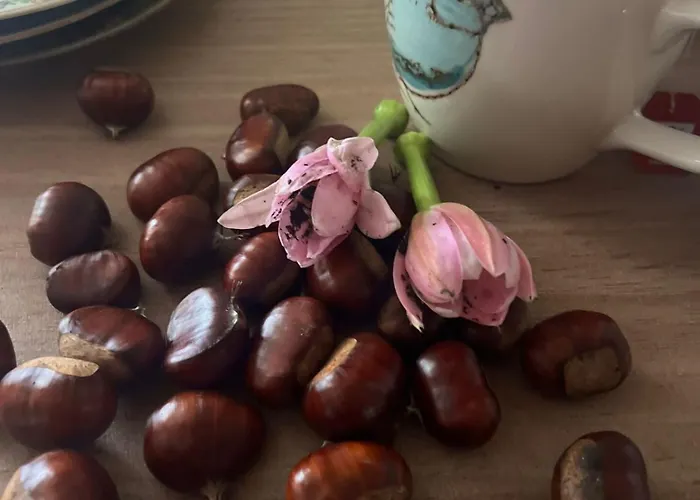 Penedo Casa Do Casal Amigo Holiday home *