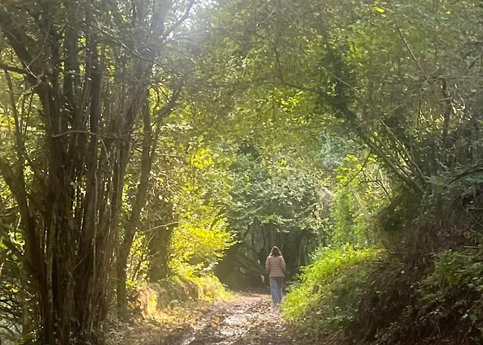 Penedo Casa Do Casal Amigo * Colares