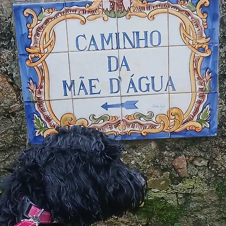 Penedo Casa Do Casal Amigo *